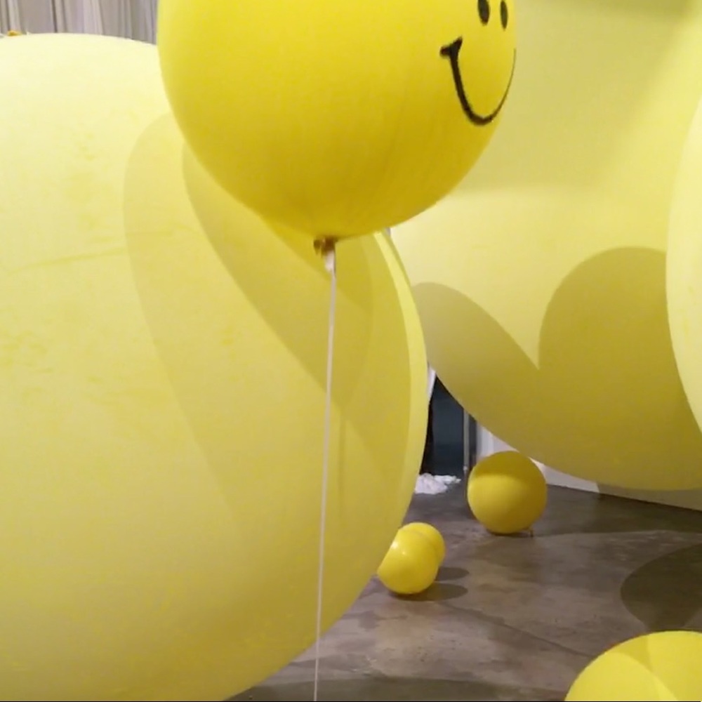 Meet your Posher, Reese